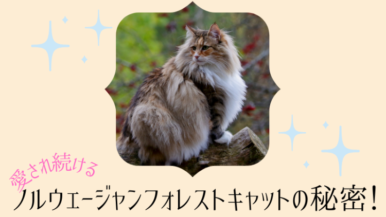 愛され続けるノルウェージャンフォレストキャットの秘密！